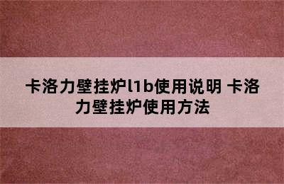 卡洛力壁挂炉l1b使用说明 卡洛力壁挂炉使用方法